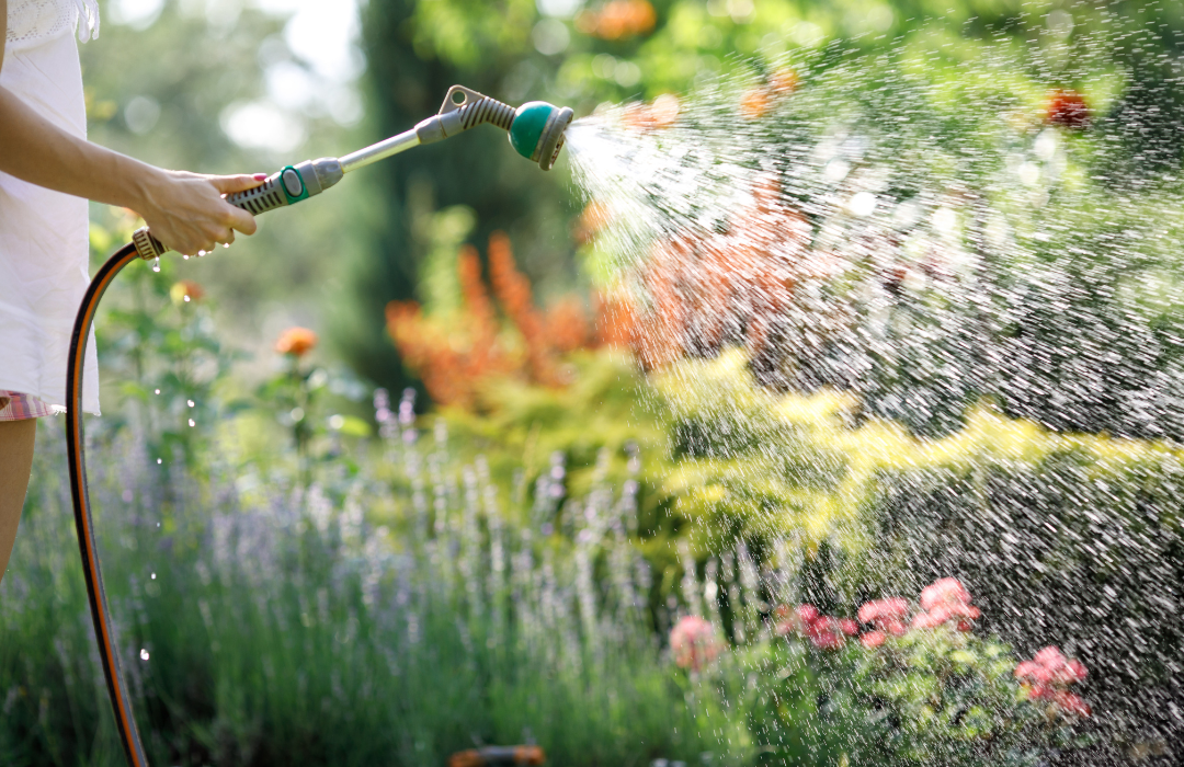 Is it safe to water vegetables with a garden hose?